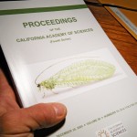 my neuro-illustration on the cover of CAS proceedings