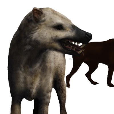 creodont-comp-for-web