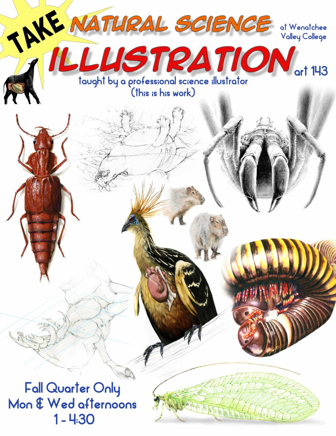 A new course in Science Illustration